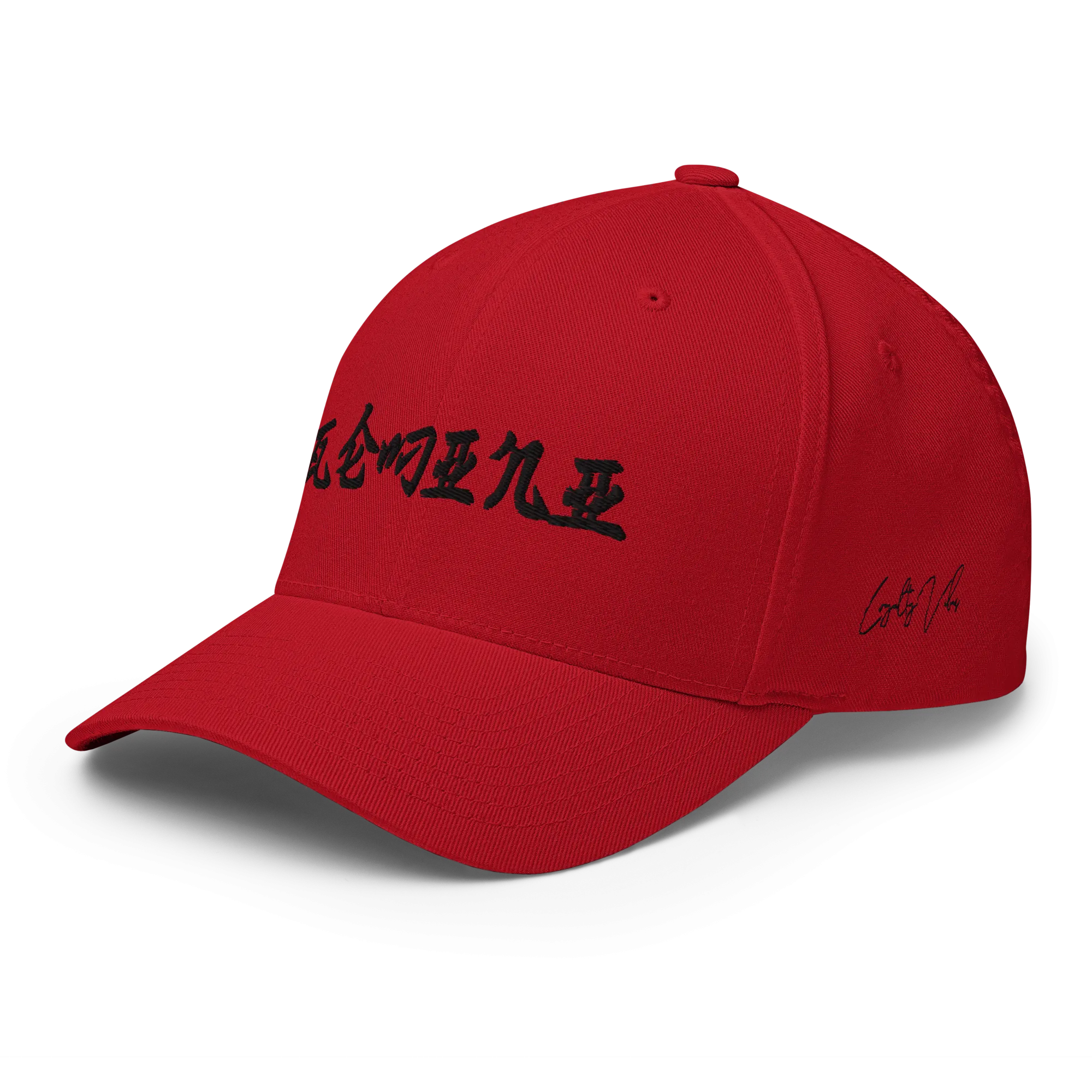 Gemini Rising Fitted Hat