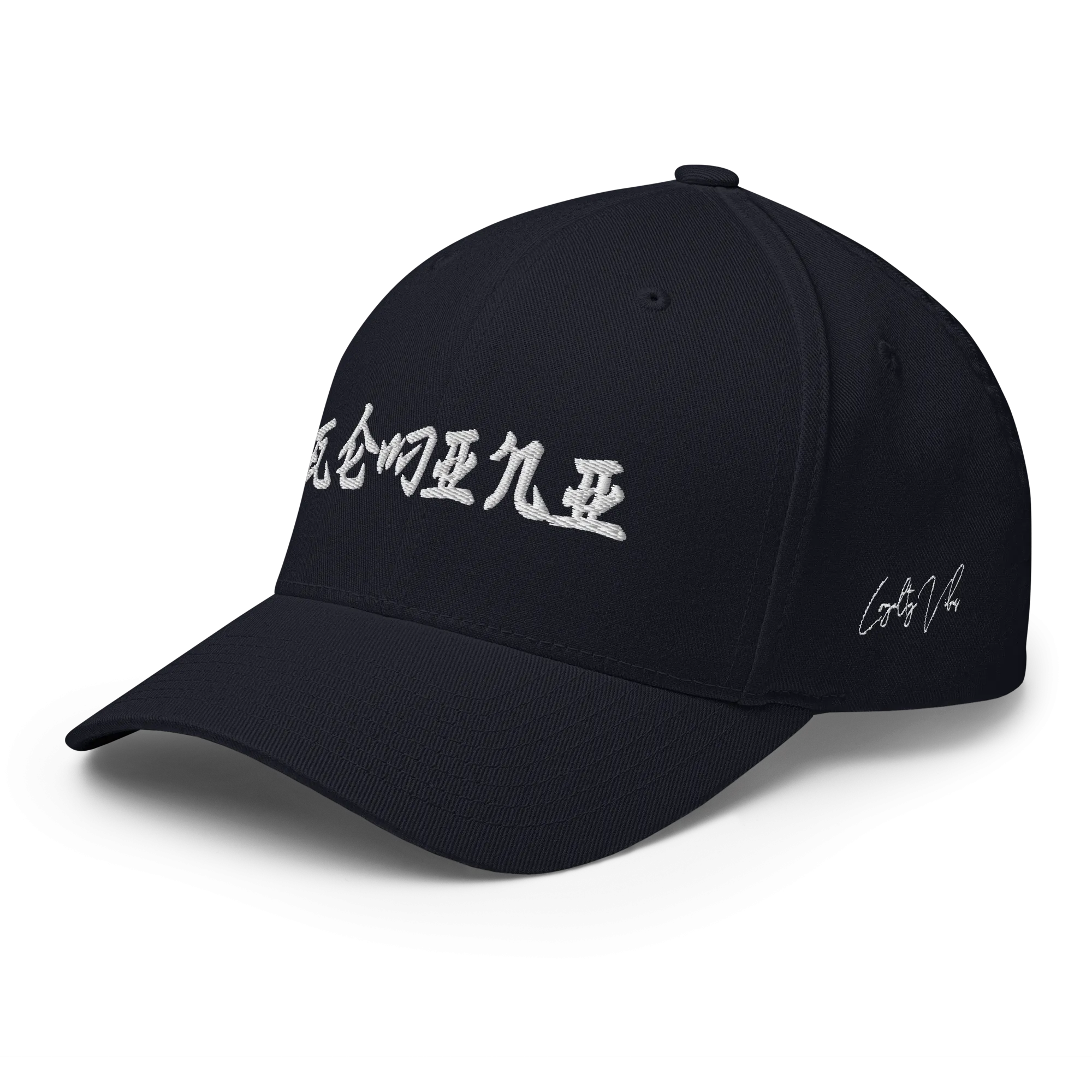 Gemini Rising Fitted Hat